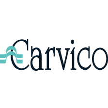 article.technology.carvico